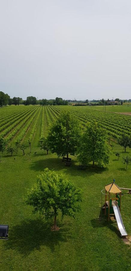 Villa Agriturismo Mulino Delle Tolle Bagnario Arsa Exterior foto